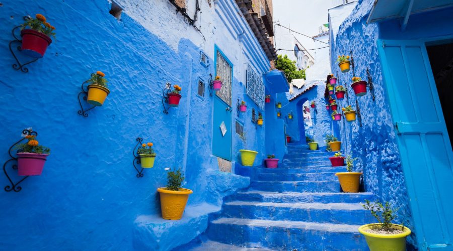 Rue pittoresque à Chefchaouen, Maroc, caractérisée par ses murs et escaliers peints en bleu vif. Des pots de fleurs colorés en rouge, jaune, rose, vert et violet sont accrochés aux murs ou placés sur les marches, ajoutant de la vivacité à la scène. Les portes et fenêtres de la rue sont également peintes en bleu, créant une harmonie de couleurs éclatantes sous un ciel clair.