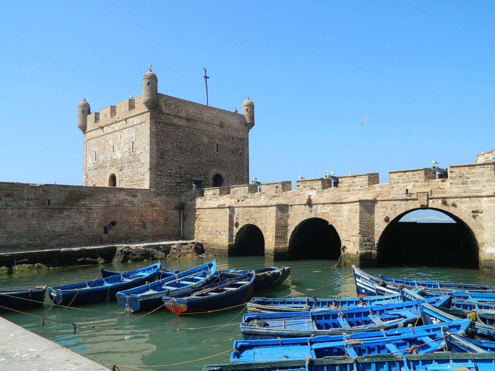 Bateau de pêche bleu amarré devant une forteresse en pierre historique à Essaouira, Maroc.